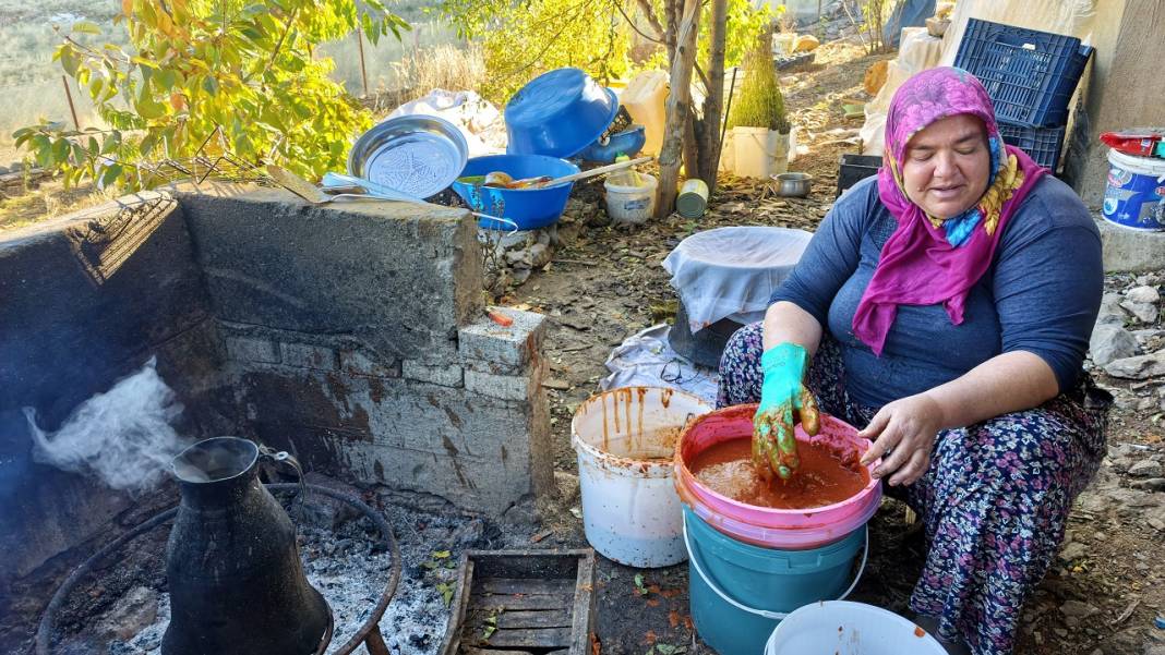 Toroslar'da tatlı ve şifalı telaş! Kuşburnu ve keçiboynuzu için ter döküyorlar 5